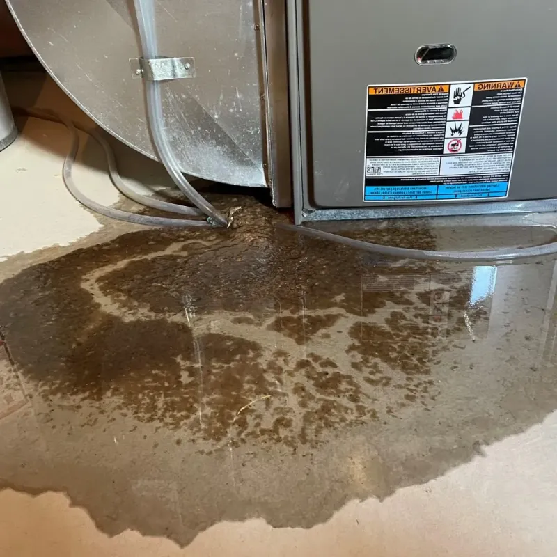 Pipe Burst and Leak Restoration in Martinsville, VA