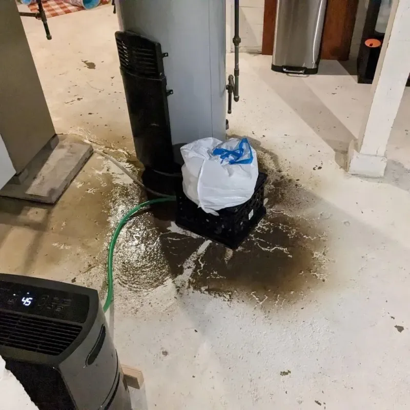 Sewage Backup Cleanup Service in Martinsville, VA